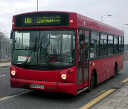 181bus.jpg