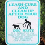 Clean up after your dog