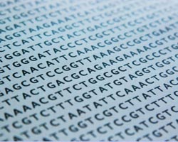 DNA paternity test