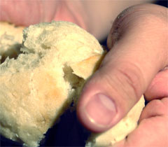 Free samples of food