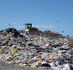 Carrier bags in a landfill site