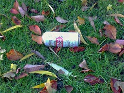 Rubbish on the verge at the side of the road