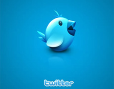 Twitter icon