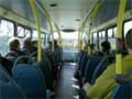 Dogs not allowed on  some buses 