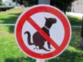 Dog poop on our doorstep