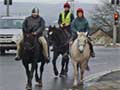 Horses have a right to be on the road too!