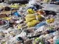 Plastic carrier bag politics