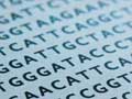 Paternity test letter from the CSA