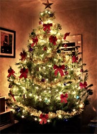 i dont like christmas and heres why i lit up like a christmas tree